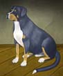 Großer Berner Sennenhund, 2022, Oel auf Malplatte, 60 x 50cm (2)